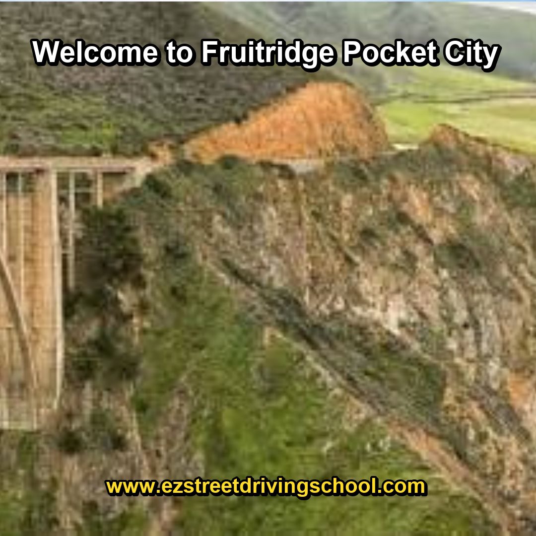 Driving Lessons in Fruitridge Pocket
